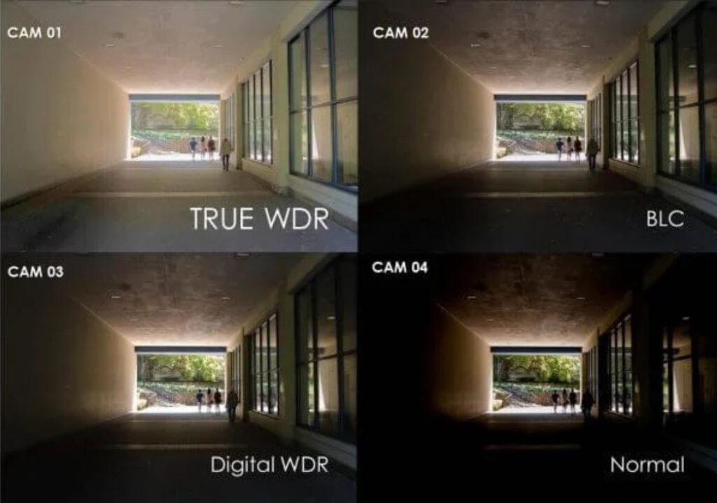 WDR-DigitalWDR-Normal-BLC